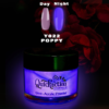 Glow in The Dark Powder (POPPY- Y022)