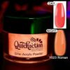 Glow in The Dark Powder (ROMAN- Y023)